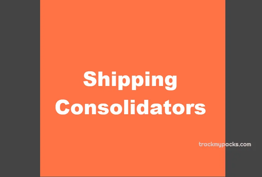 Shipping Consolidators: Streamlining Your Logistics Needs